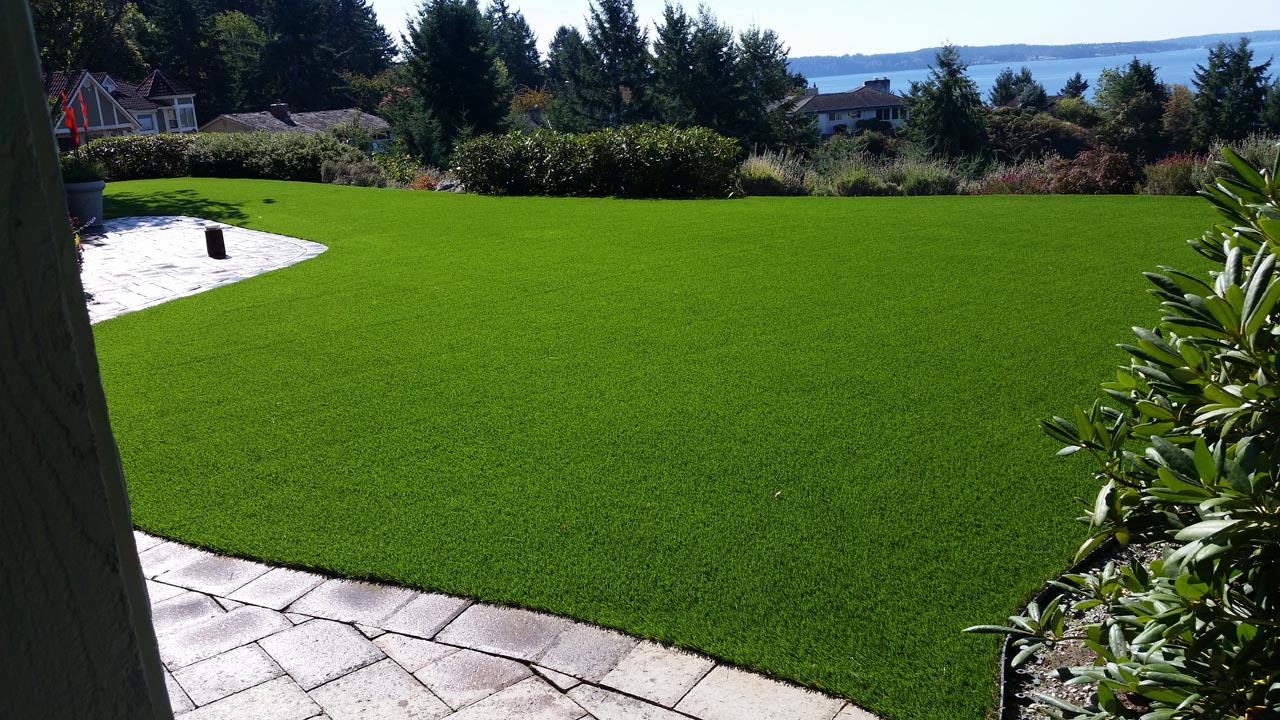 Artificial Turf