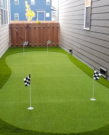 Back Yard Putting Green