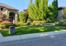 synthetic-turf-lawns-0023