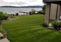 synthetic-turf-lawns-0029