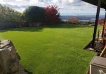 synthetic-turf-lawns-0031