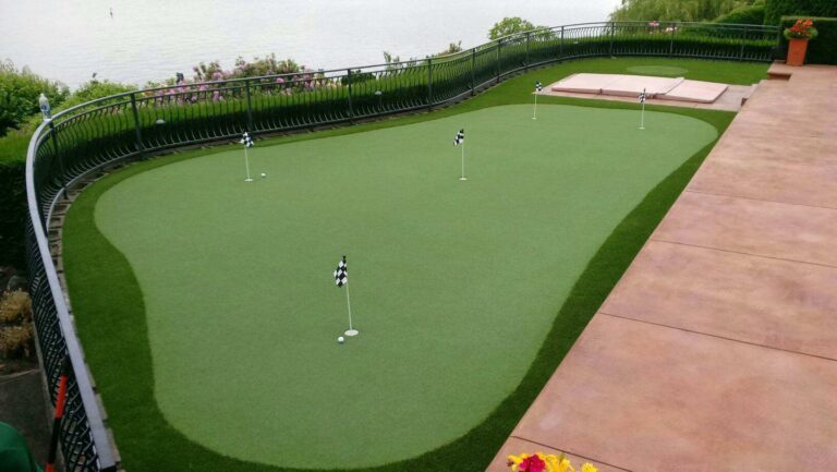 Backyard golf putting green