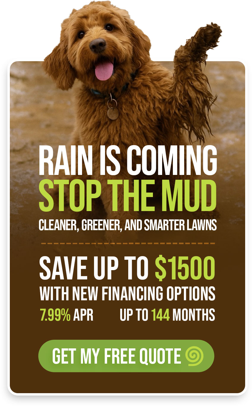 Rain is Coming, Stop the Mud!