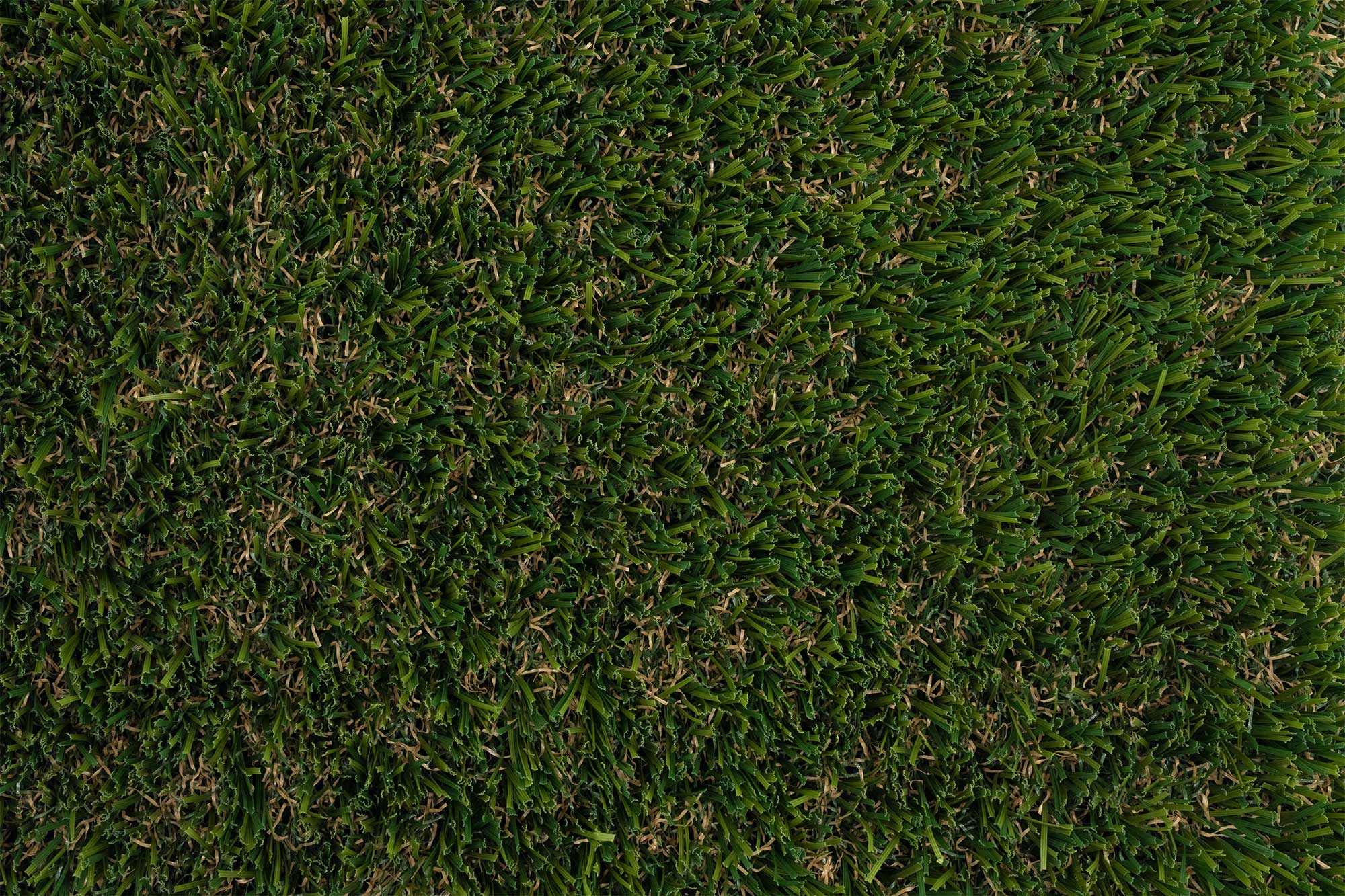 Synthetic Turf Northwest Pro Plus Closeup