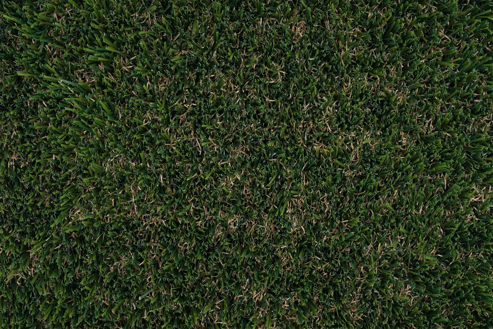 Synthetic Turf Northwest Pro Plush Max Closeup