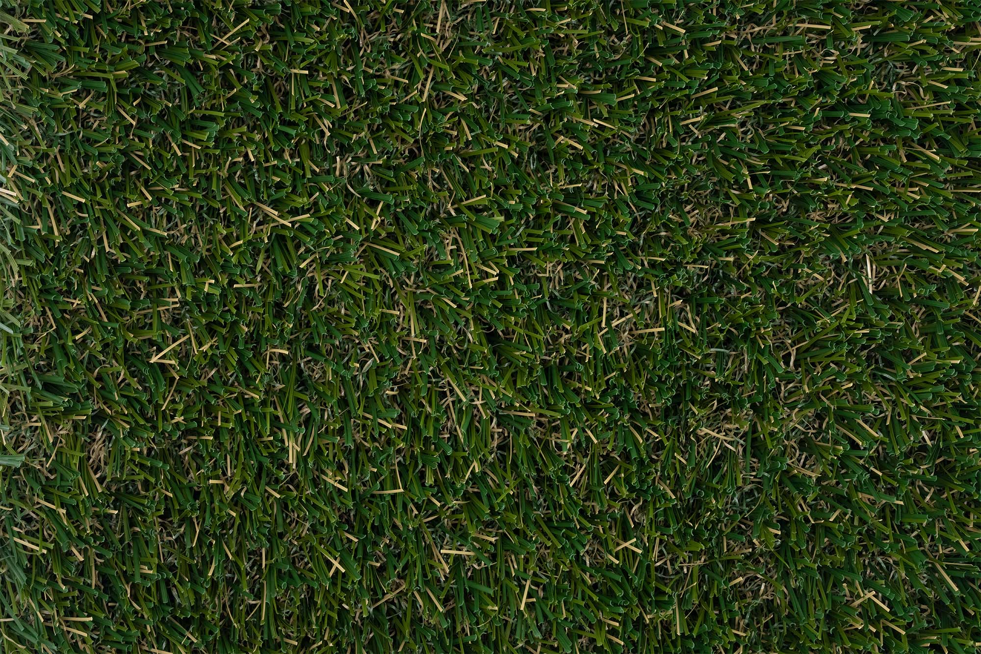 Synthetic Turf Northwest Pro Summer Blend Closeup
