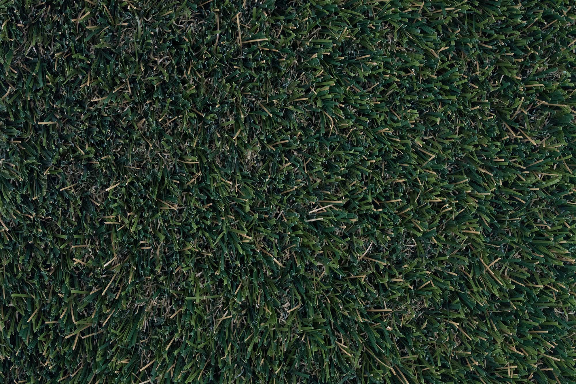 Synthetic Turf Northwest Pro Summer Blend Max Closeup