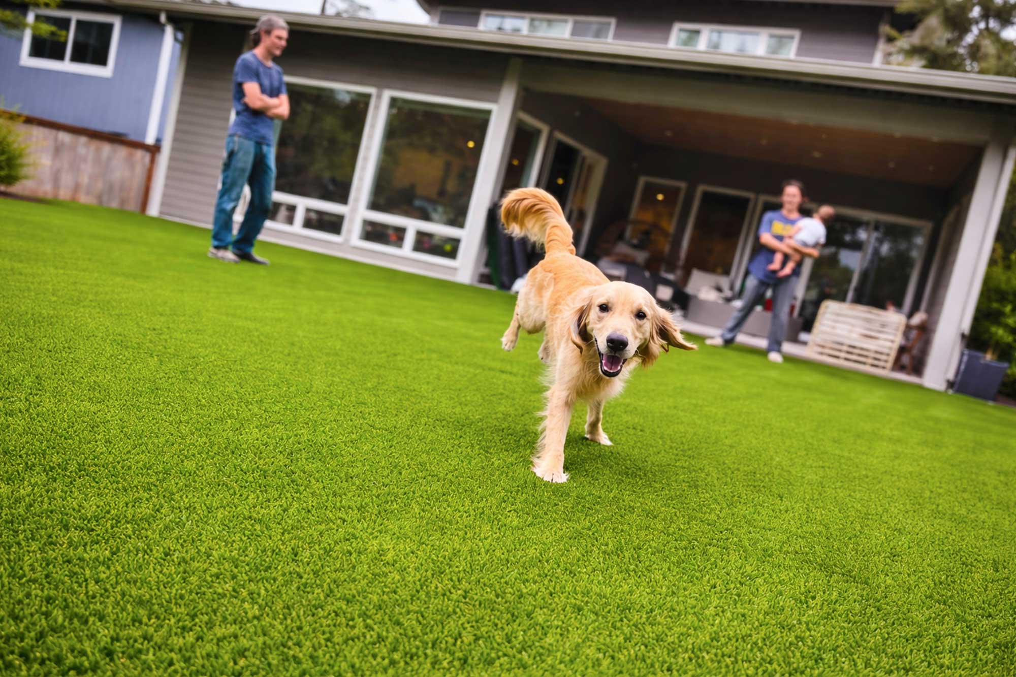 synthetic-turf-northwest-services-petslider2