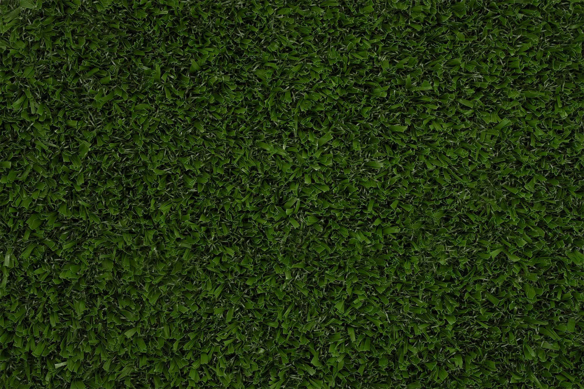 Synthetic Turf Northwest Indoor Closeup