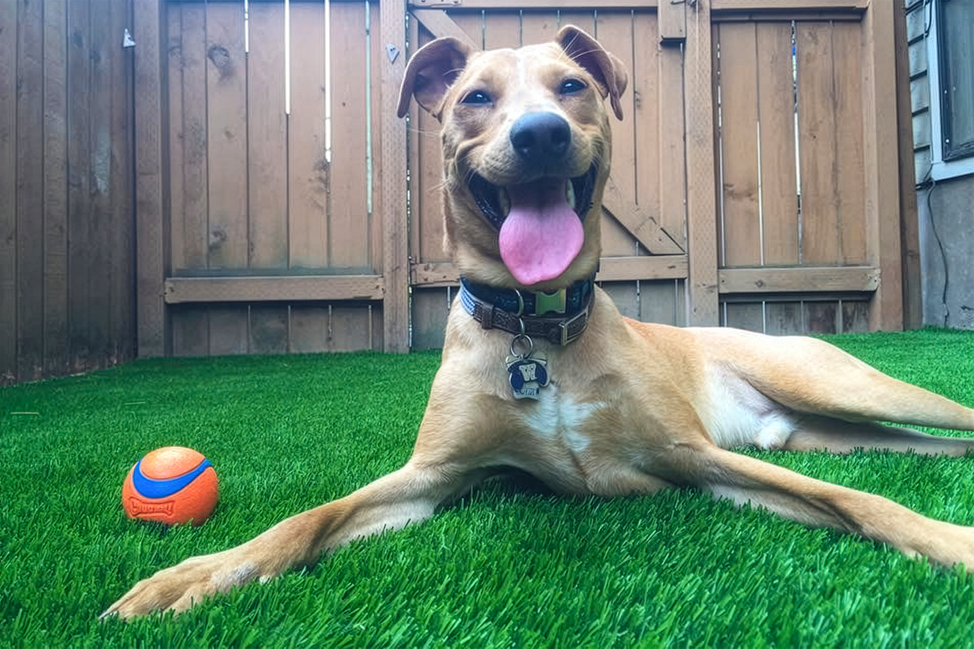 Untitled-1 Firefly Upscaler 2x scale