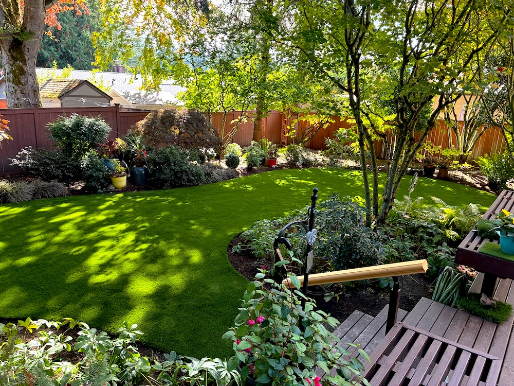 Lush garden with vibrant greenery.