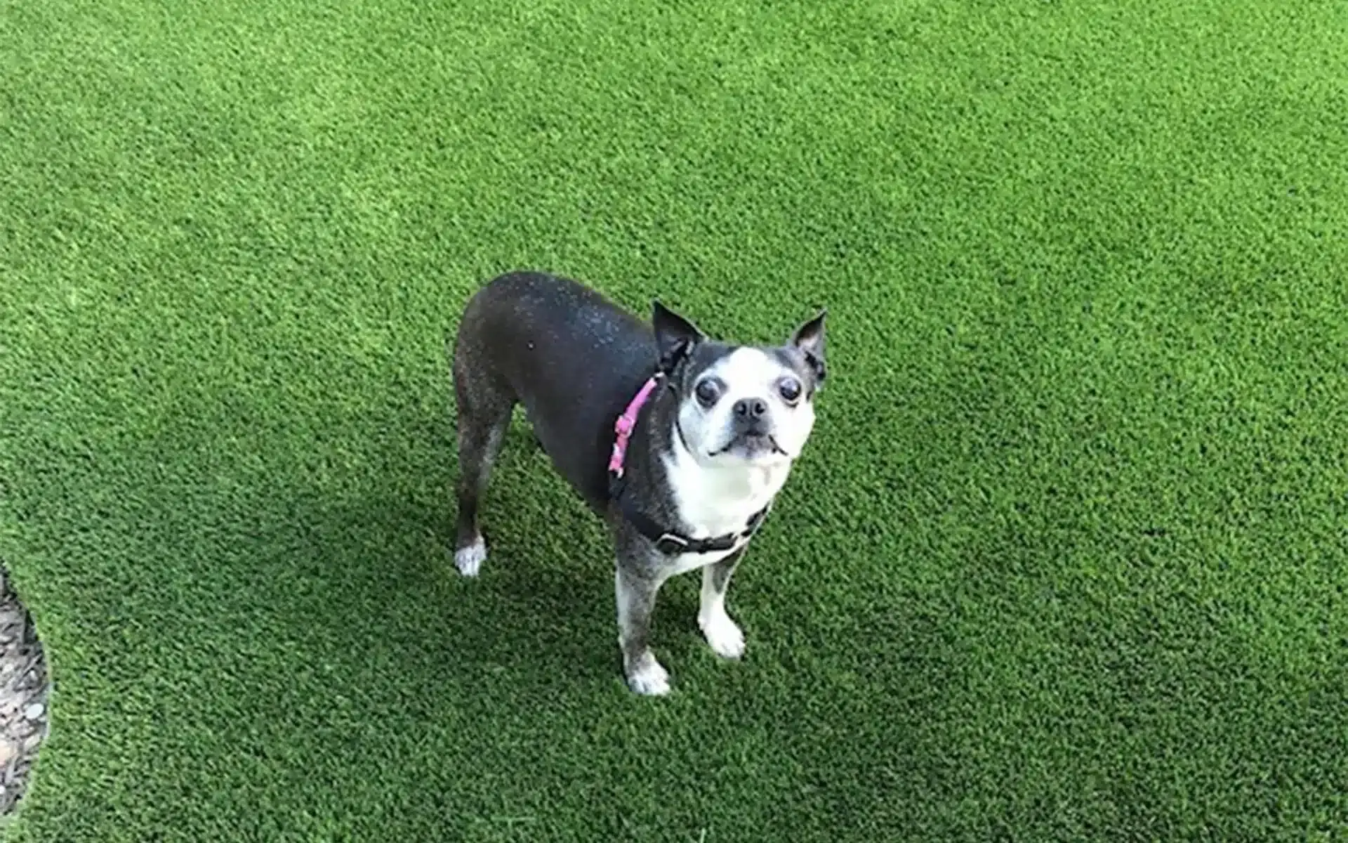 117803870_3997851153618318_1495390257362443285_n