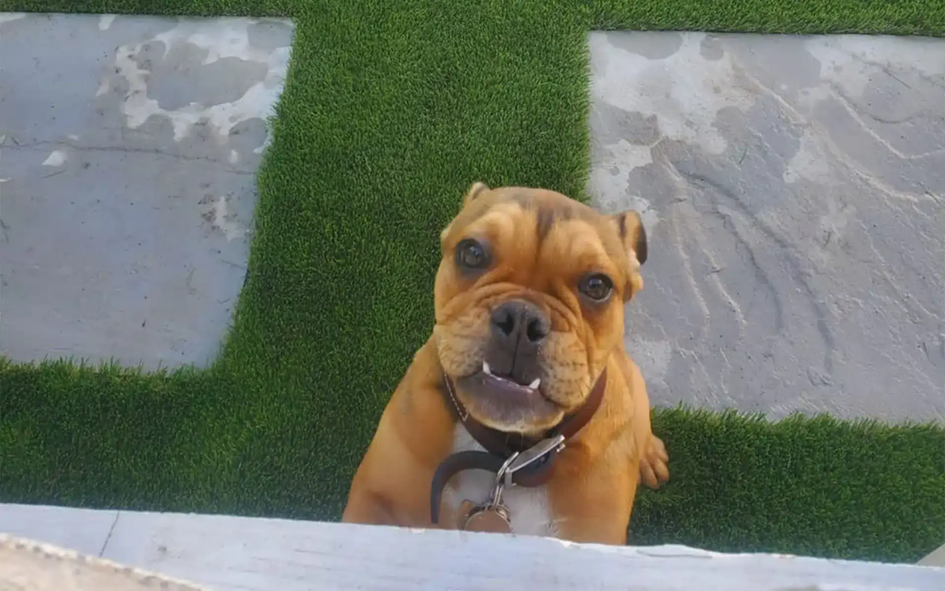 5184492b-33c7-4a05-84a9-ff3ba961af61-1