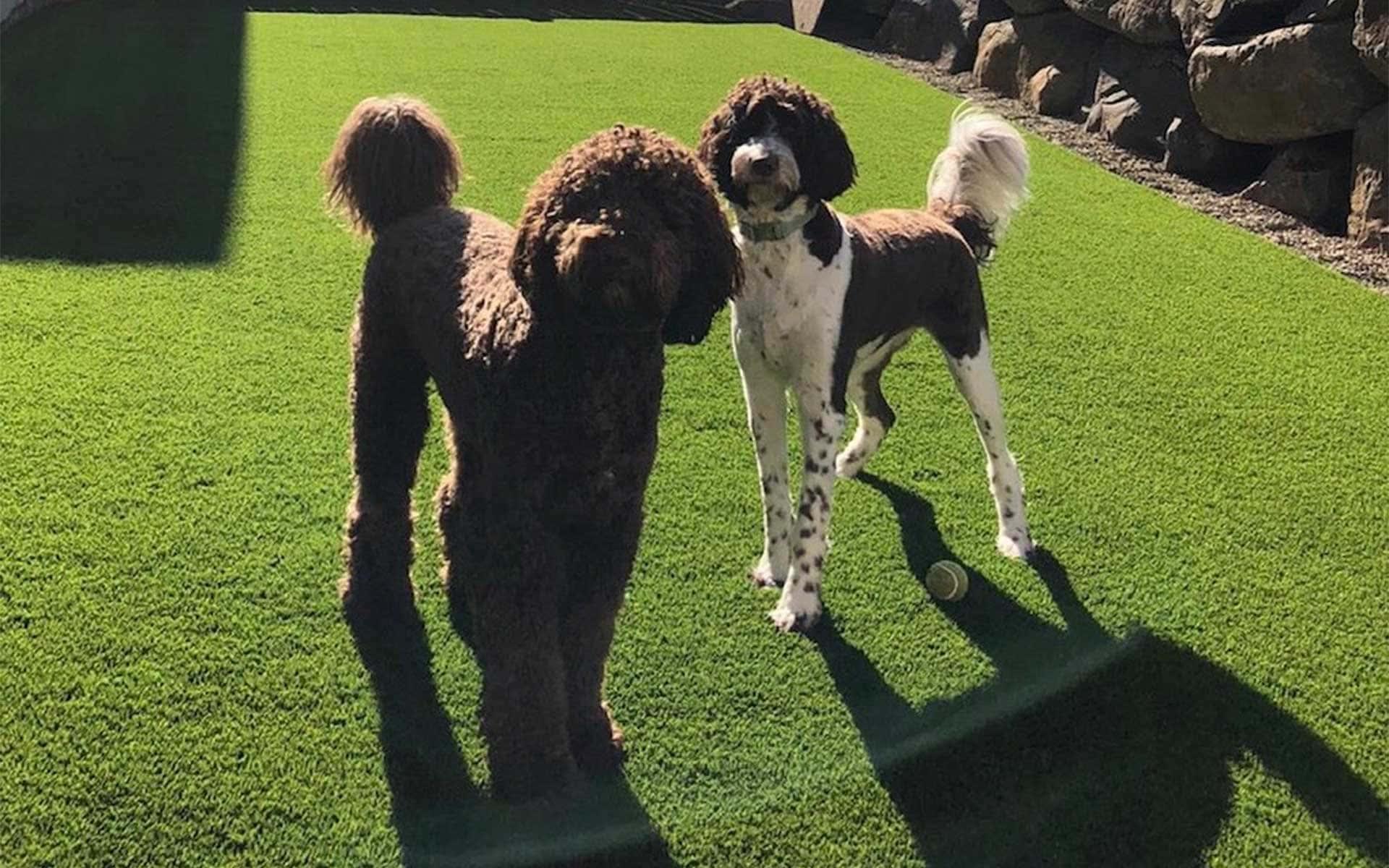 abc7e519-a31e-4b68-8e8a-d84a870d280b-2